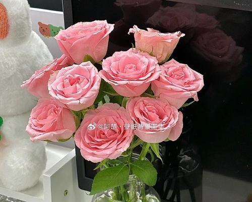 清甜在心头荡漾（一场意外的邂逅）-第2张图片-学作网