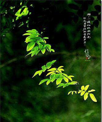 阳光之友（一缕温暖，一份支持）-第2张图片-学作网