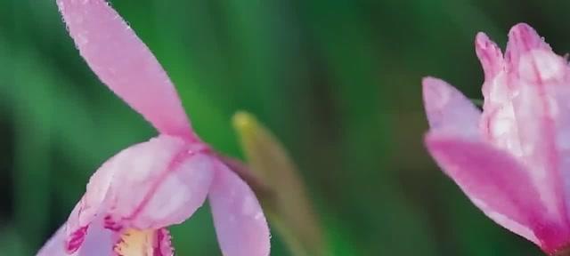 深深的回忆（它们在我心中永远不会消失）-第3张图片-学作网
