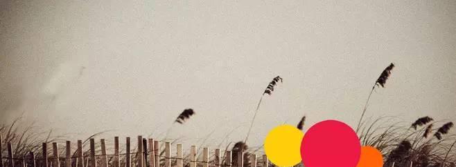 秋意渐浓——一段恋秋之旅（枫叶红了天，我的心也跟着变幻）-第3张图片-学作网