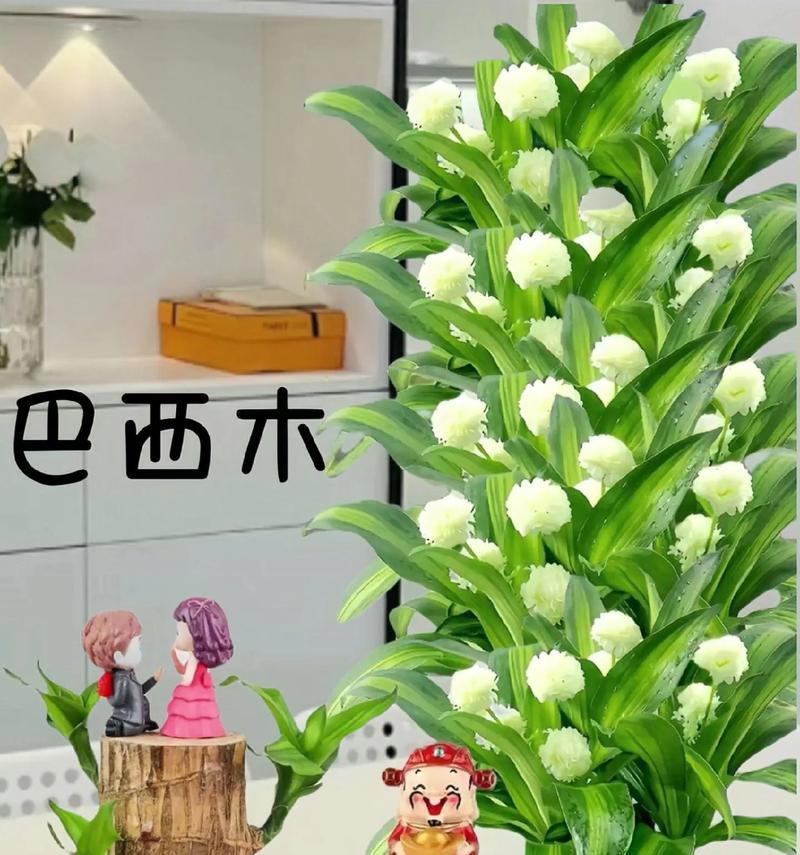 走出阴霾，迎接新生命（一名癌症康复者的故事）-第3张图片-学作网