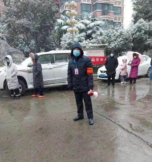 春天的瑰丽（冬天的离别，春天的相遇）-第3张图片-学作网