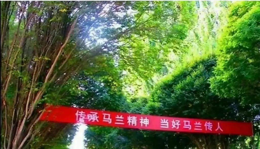 奉献生命（无私拼搏的精神）-第3张图片-学作网