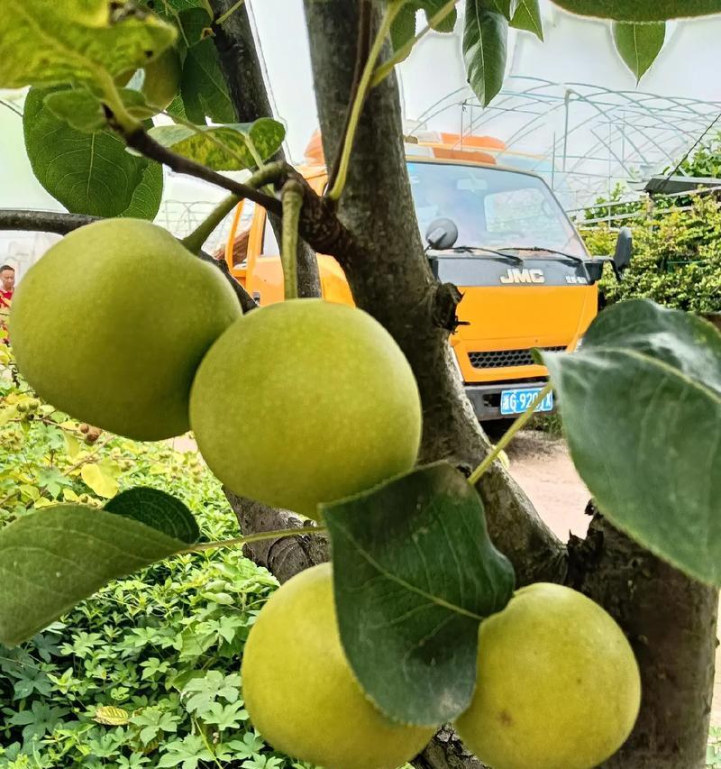 发现身边的美——小玲的故事（凝望生活中的点滴美好）-第2张图片-学作网