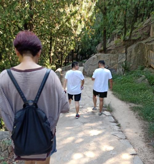 追梦之路（用心去做，梦想将会实现）-第1张图片-学作网