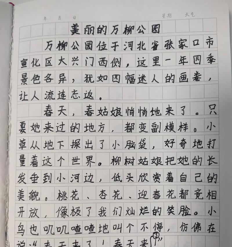 《家乡时光》（回忆那些美好的记忆）-第3张图片-学作网