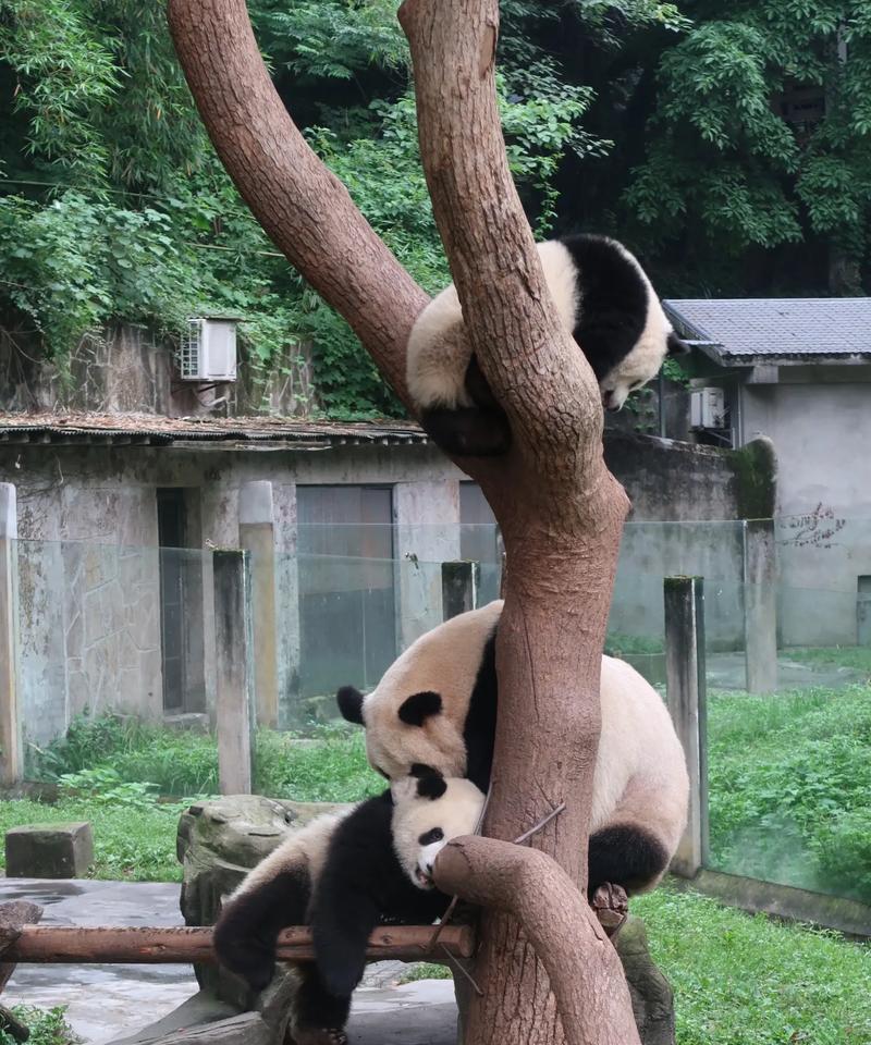 小时候的快乐时光——我和小伙伴们的玩耍（欢声笑语，无忧无虑；幸福满溢，童年美好）-第1张图片-学作网
