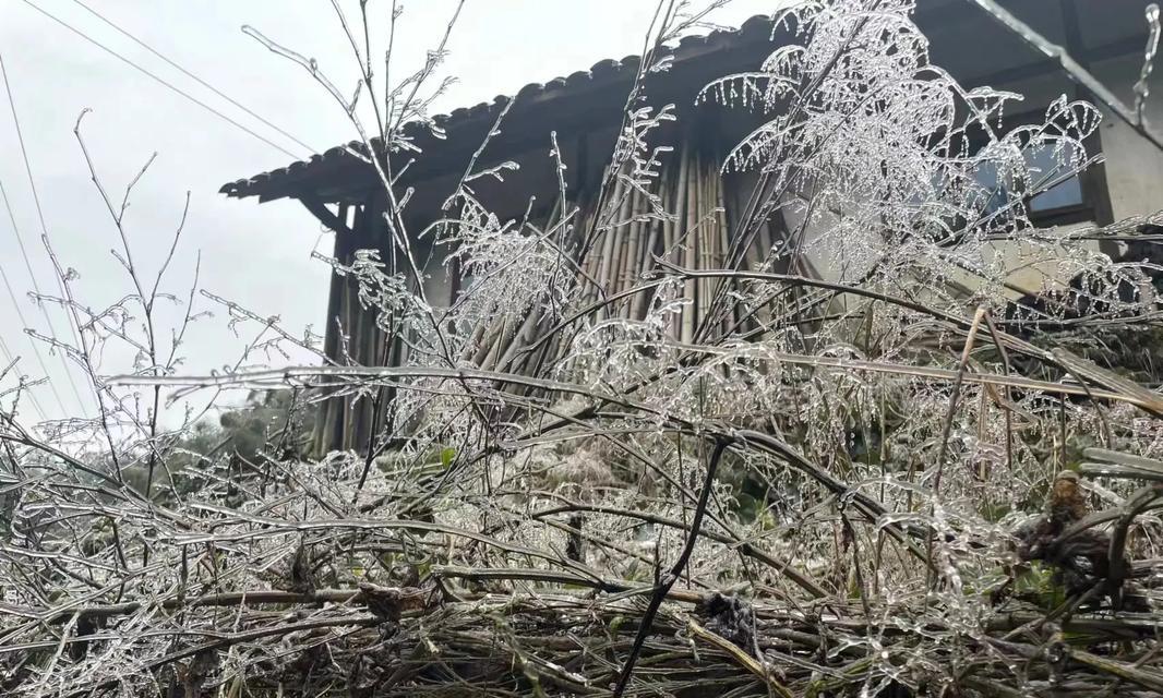雨中的故事（一场淋湿了灵魂的暴风雨）-第1张图片-学作网