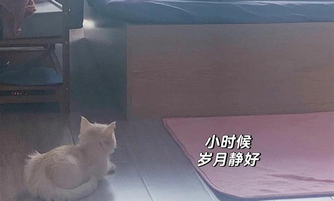 童年往事（那些让我终生难忘的瞬间）-第2张图片-学作网