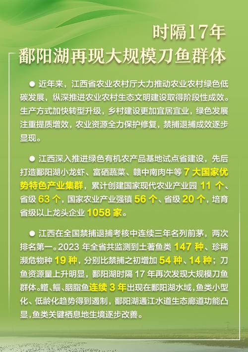 生态之路——一个小镇的环保传奇-第1张图片-学作网