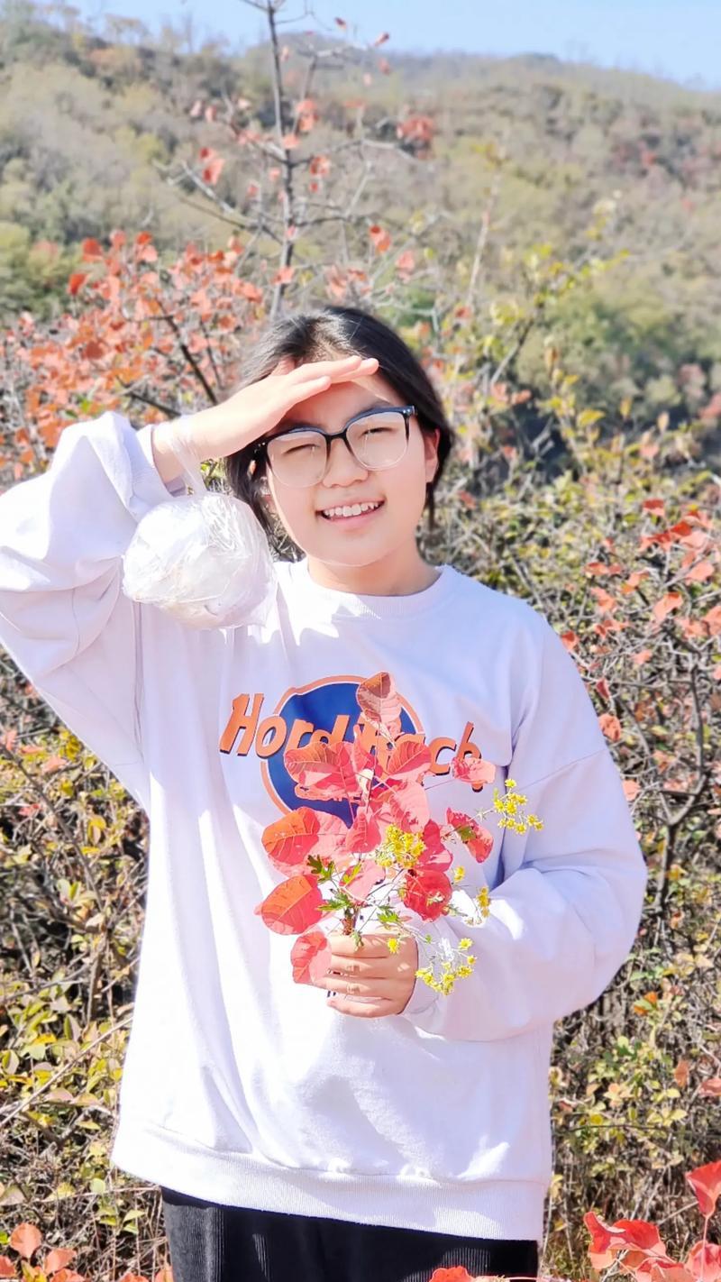 和谐校园里的一段故事（从冲突到和解，一段感人的校园经历）-第3张图片-学作网