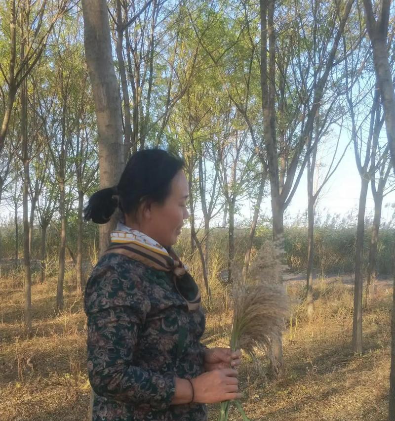 慢慢走，留住美好（一个年轻人的成长故事）-第2张图片-学作网