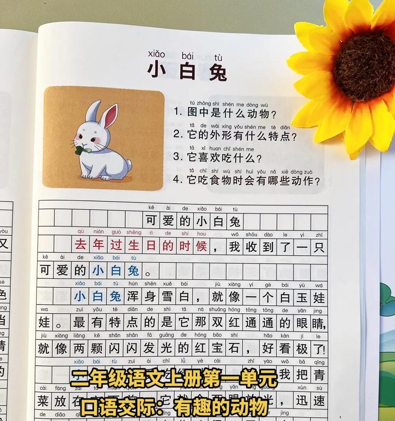 小动物的大冒险（勇气和友谊的故事）-第2张图片-学作网
