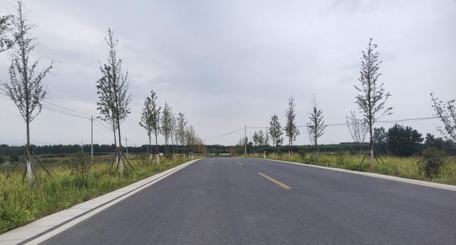 身边的风景（与自然共舞）-第1张图片-学作网