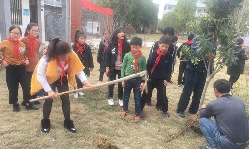 那个植树节的遇见（一生难忘的邂逅）-第1张图片-学作网