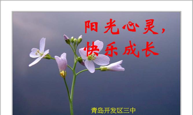 放飞心灵，快乐成长（小鸟的成长之旅）-第3张图片-学作网