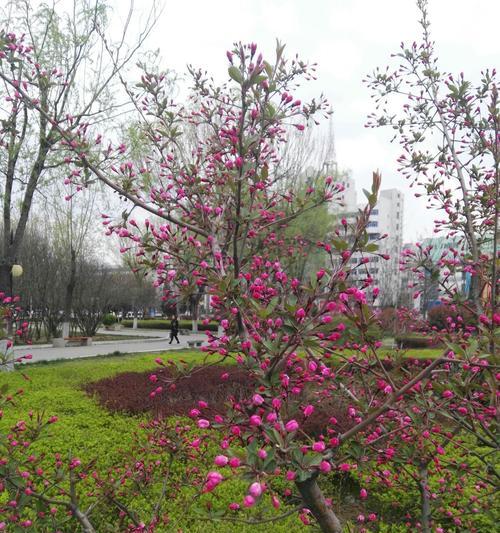 春色撩人，花香四溢（春色撩人，花香四溢）-第3张图片-学作网