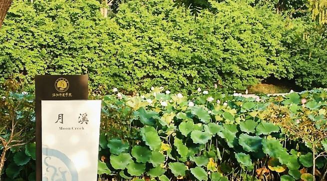 遇见她（幸福不期而遇）-第2张图片-学作网