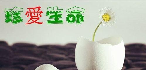 生命如此脆弱，珍爱当下（一个小女孩的成长故事）-第3张图片-学作网