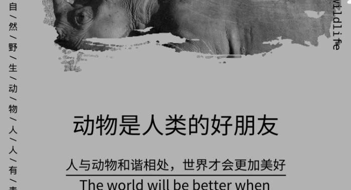 人与动物的友谊：一只小狗的冒险之旅-第1张图片-学作网