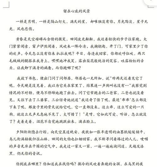 留在心里的风景（我和风景之间的故事）-第3张图片-学作网