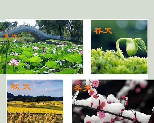 秋意盎然的故事（追随叶落的足音）-第1张图片-学作网