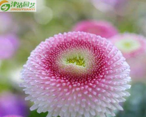 秋意盎然的故事（追随叶落的足音）-第3张图片-学作网
