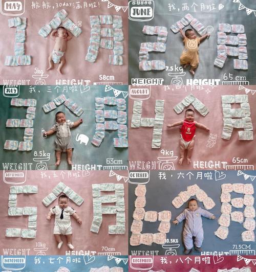 点缀了我的成长（我与我的成长小故事）-第1张图片-学作网