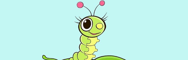 蚕宝宝的奇妙旅程-第3张图片-学作网