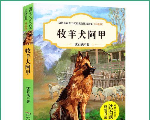 如何巧妙地逃避危险（如何巧妙地逃避危险）-第3张图片-学作网