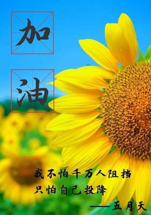 追逐梦想的路上（从心出发，坚持不懈）-第1张图片-学作网
