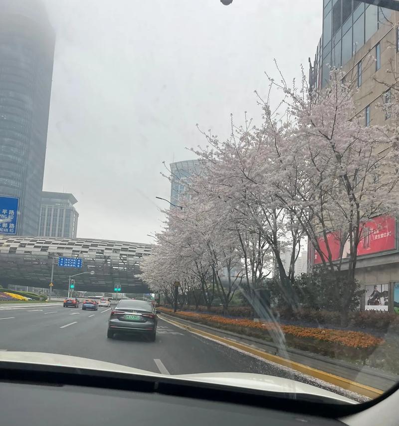 母女相伴，情深不渝（母女相伴，情深不渝）-第2张图片-学作网