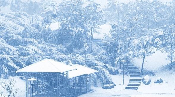 一片白茫茫的雪地上发生的故事】（一片白茫茫的雪地上发生的故事】）-第3张图片-学作网