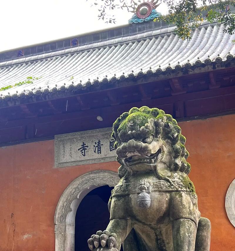 沉静从容（静心冥想，守护内心）-第2张图片-学作网