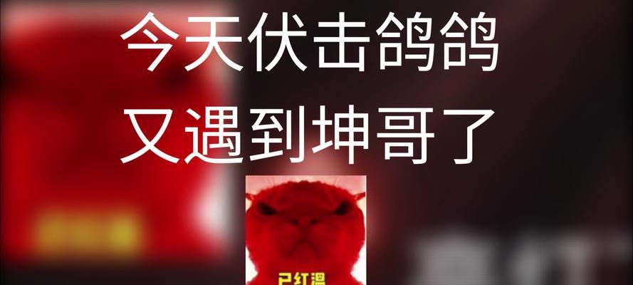 快乐乐园：一场奇妙的冒险-第1张图片-学作网