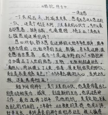 梦想之路（祥子的故事）-第2张图片-学作网