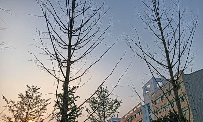 留恋（时间与记忆）-第2张图片-学作网