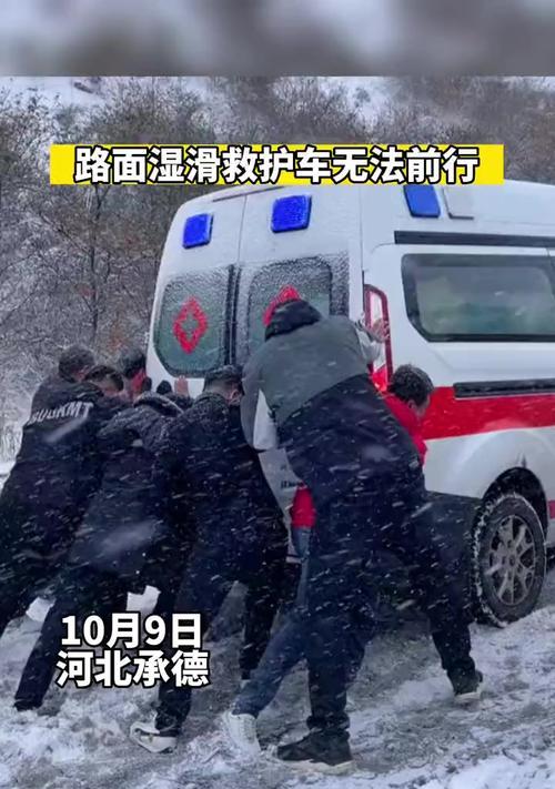 生命的温暖-第2张图片-学作网