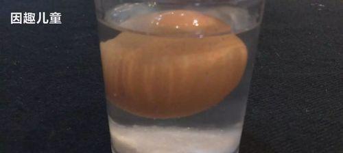盐水浮蛋（南北朝时期的爱情与背叛）-第2张图片-学作网