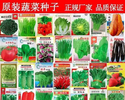南方冬日暖意融融（温馨家庭，火炉温暖，心里暖和）-第2张图片-学作网