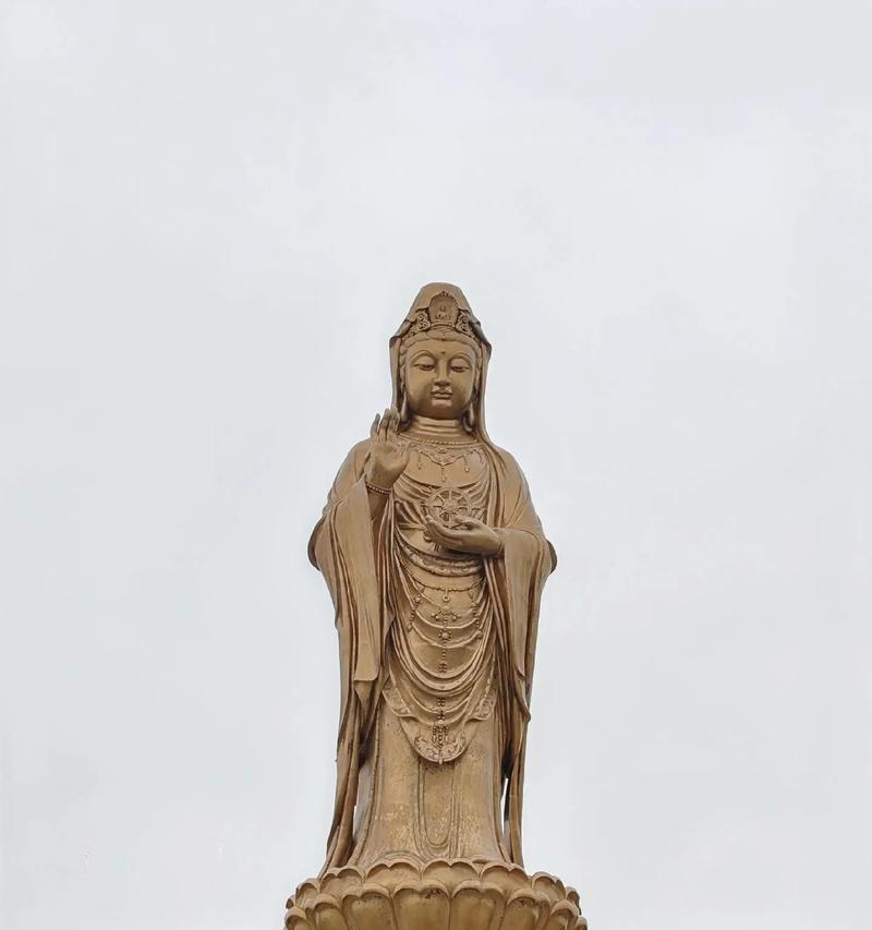大自然的美妙（山林中的遇见）-第3张图片-学作网