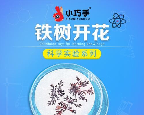 小发明改变生活（一个聪明少年的创意故事）-第1张图片-学作网