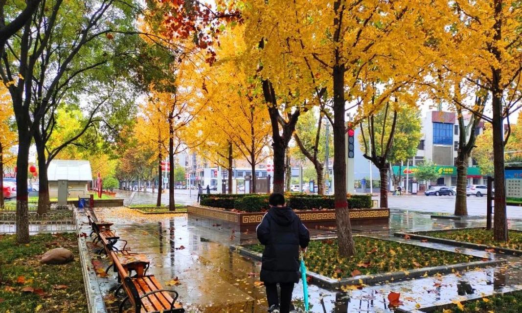 淅淅沥沥的冬雨下在心间（失落与希望的故事）-第3张图片-学作网