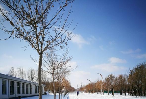 冬日里的纯净与美好（白雪皑皑，心灵澄明，快乐降临）-第2张图片-学作网