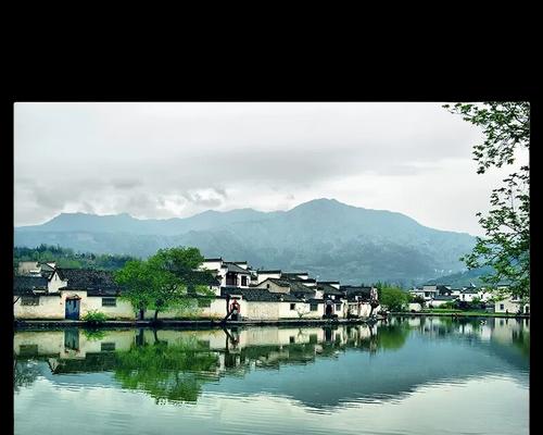 一只母猪的无私之爱（一只母猪的无私之爱）-第3张图片-学作网