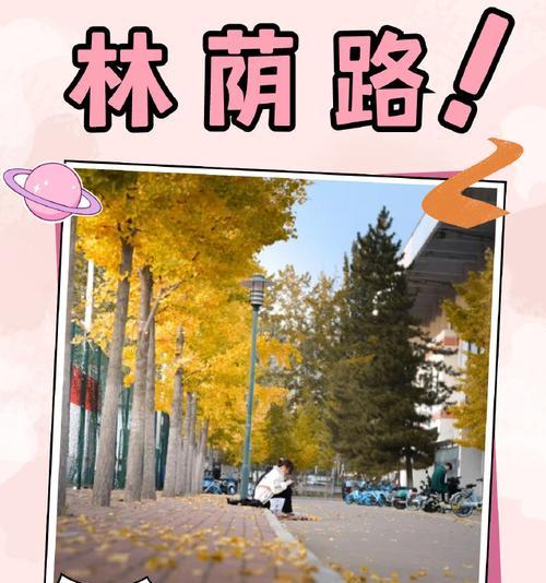 永远不会忘记的风景（走过的旅程，留下的记忆）-第2张图片-学作网