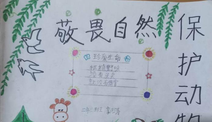 保护大自然，呼唤我们的担当（一名志愿者的环保故事）-第3张图片-学作网
