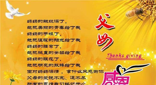 真情的温暖（一个小女孩的感人经历）-第2张图片-学作网