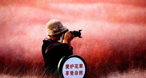 古老的书店（时间与文化交织的场所）-第2张图片-学作网