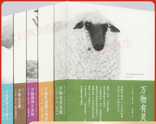 奇妙与伟大的冒险（一个普通人的成长与探索）-第2张图片-学作网